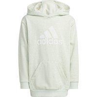 adidas-future-icons-badge-of-sport-hoodie