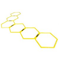 olive-agility-hexagons