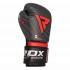 Rdx sports Boxing Gloves Rex F13